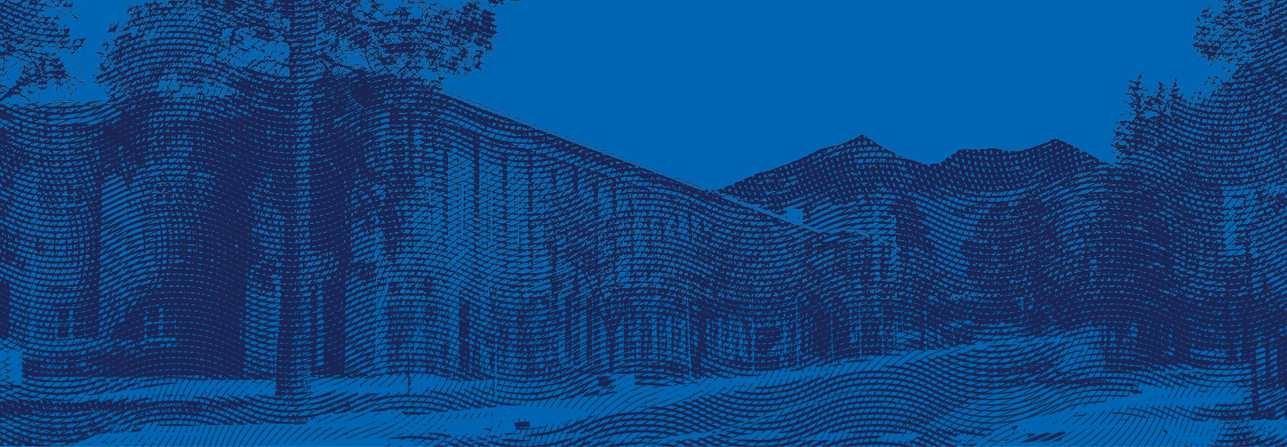 Stylized blue illustration of a mountain landscape with trees in the foreground and a textured wave pattern overlay.